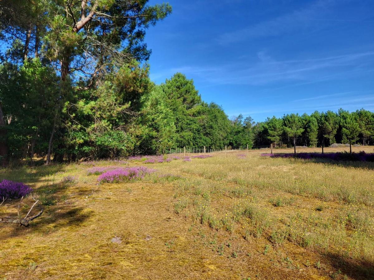 Domaine De La Sarrotte Panzió Saugon Kültér fotó