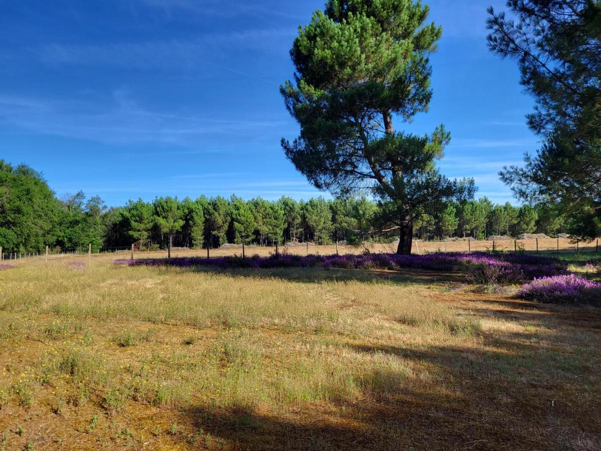 Domaine De La Sarrotte Panzió Saugon Kültér fotó